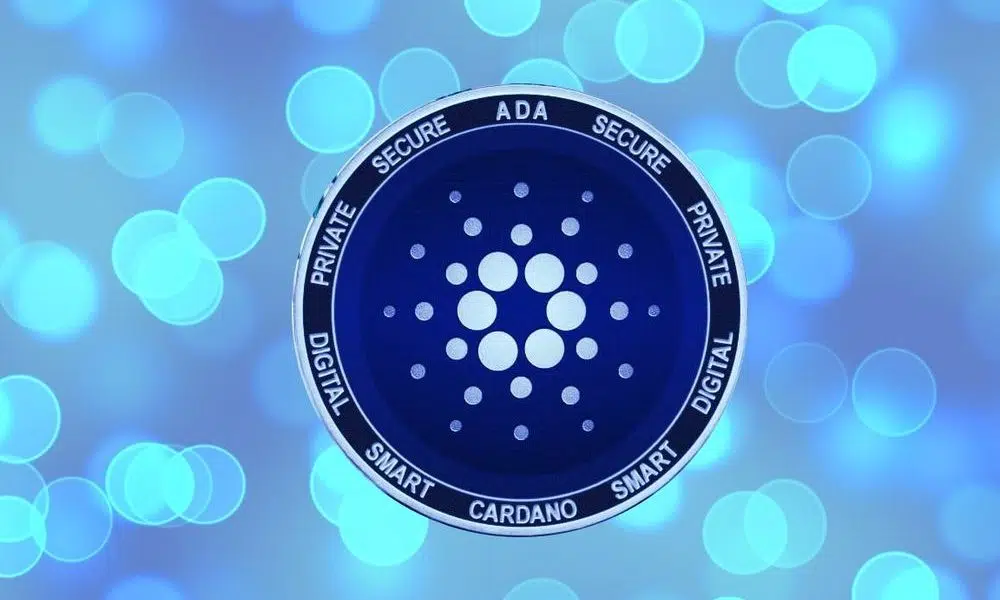 Cardano Vasil