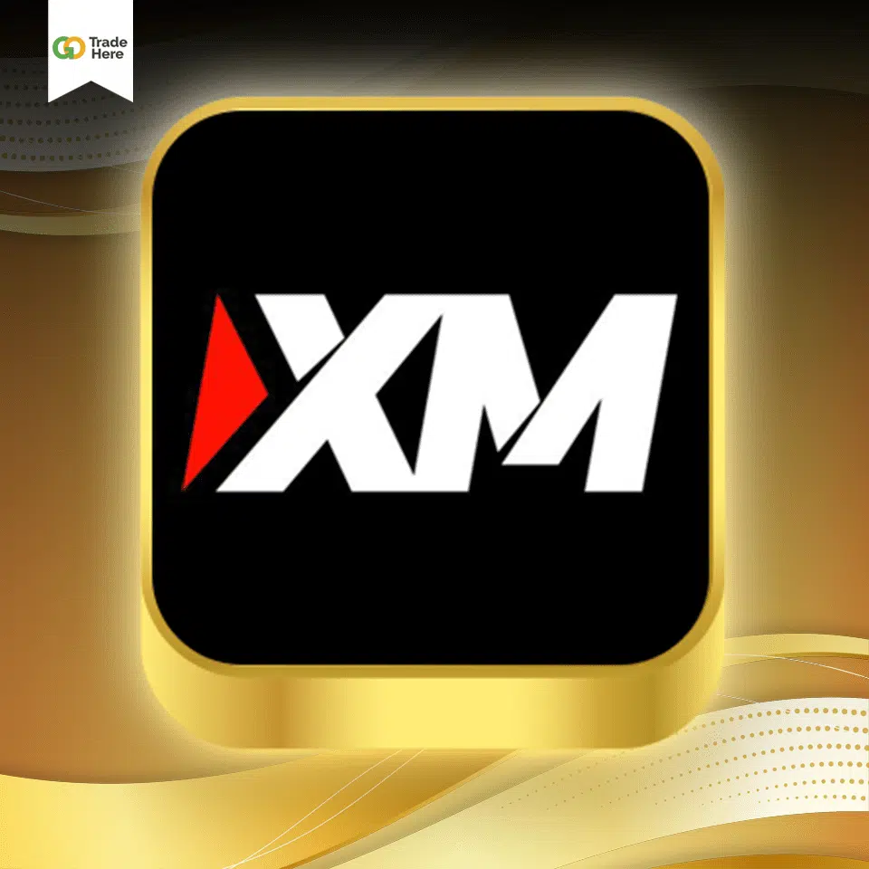 โบรกเกอร์ Forex เทรดทองยอดนิยม : XM