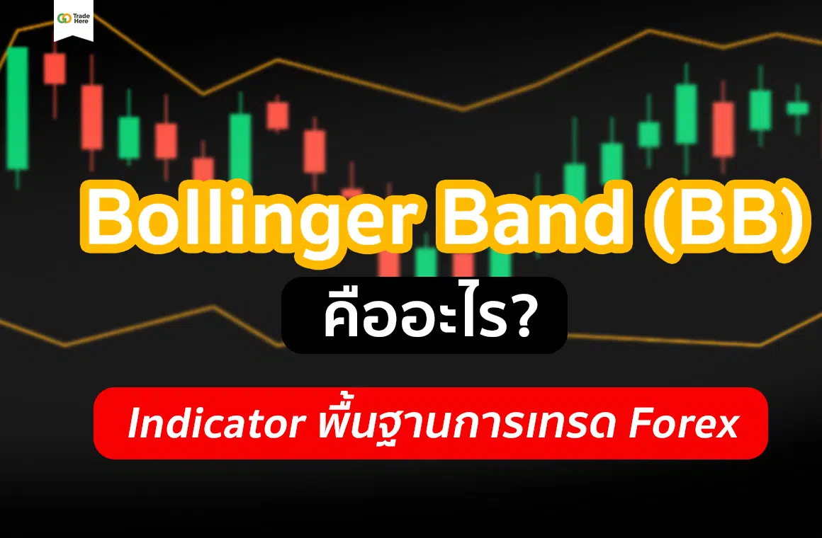 Bollinger Band (BB) คือ อะไร? Indicator พื้นฐานการ เทรด Forex