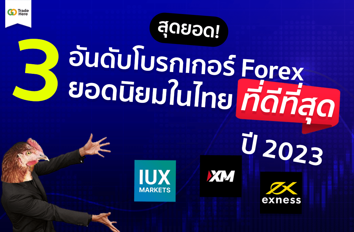 เจาะลึก Broker Forex! เทรดโบรกเกอร์ Forex ไหนดี? โบรกไหนแจกโบนัสฟรี?  ใช่โบรกที่คุณเทรดอยู่หรือไม่​ - โดนไล่มาเทรดตรงนี้