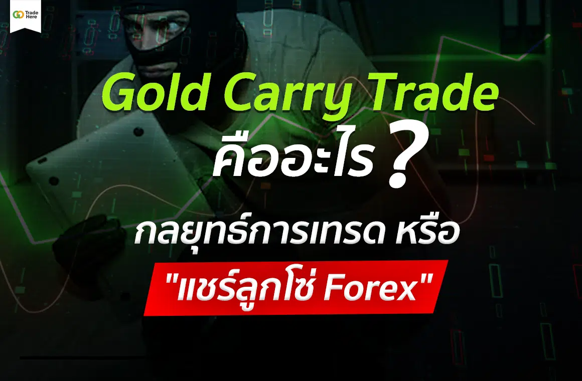 Gold Carry Trade คือ อะไร? กลยุทธ์การเทรด หรือ หลอกลวง แชร์ลูกโซ่ Forex Pantip