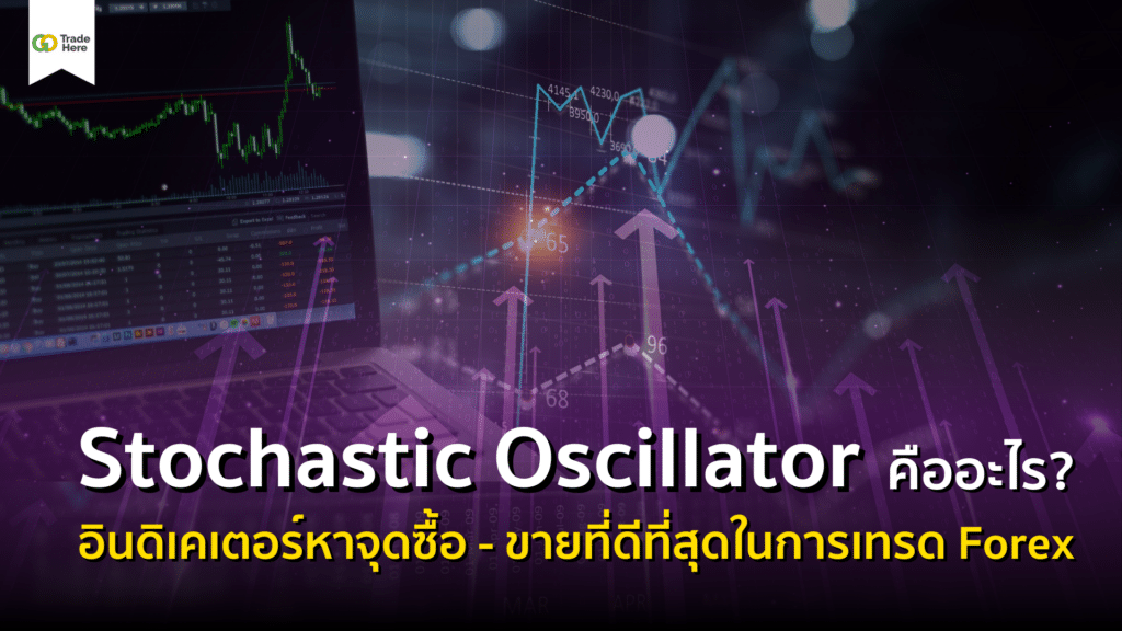 Stochastic Oscillator คืออะไร? อินดิเคเตอร์หาจุดซื้อ-ขายที่ดีที่สุดในการเทรด Forex