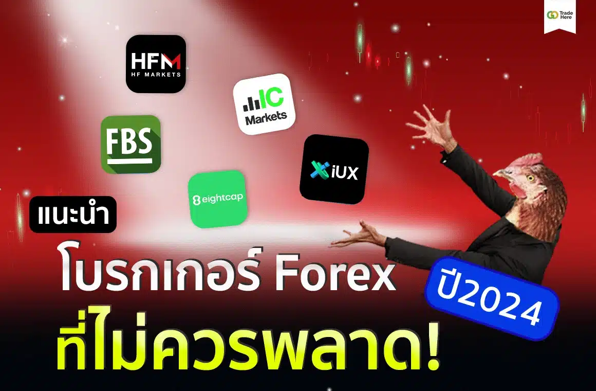 แนะนำโบรกเกอร์ Forex ปี 2024 ที่ไม่ควรพลาด!