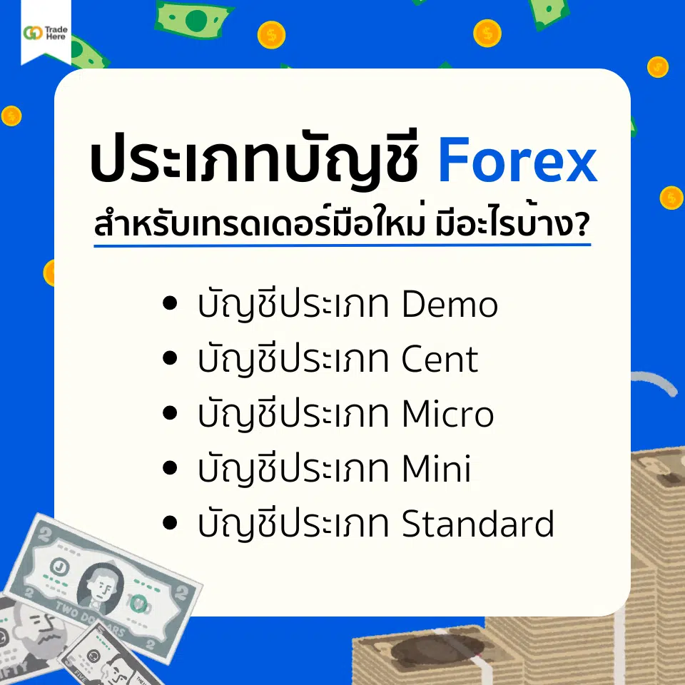 ประเภทบัญชี Forex มีอะไรบ้าง ? 