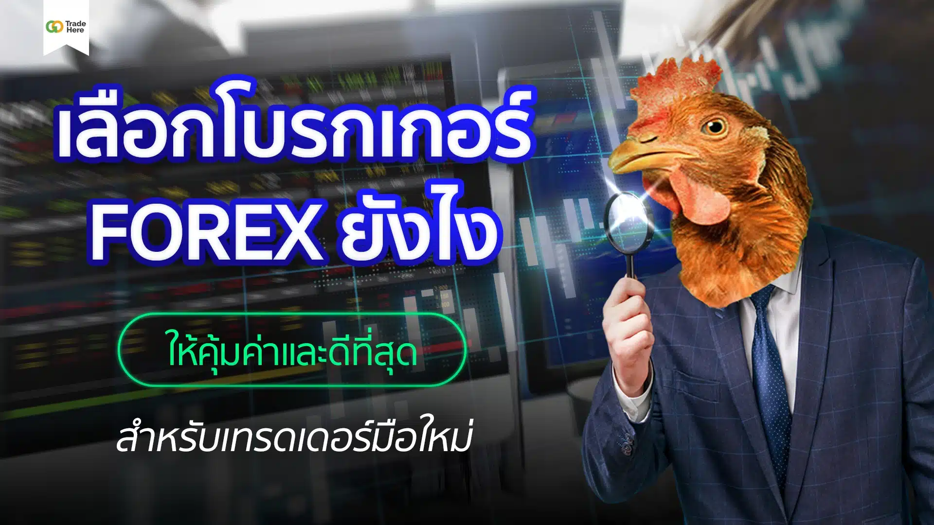 เลือกโบรกเกอร์ Forex ยังไง ให้คุ้มค่าและดีที่สุดสำหรับ เทรดเดอร์มือใหม่