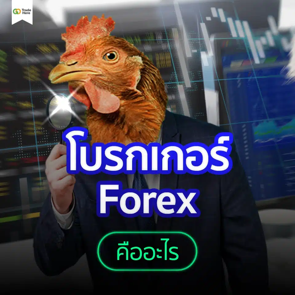 โบรกเกอร์ Forex คืออะไร